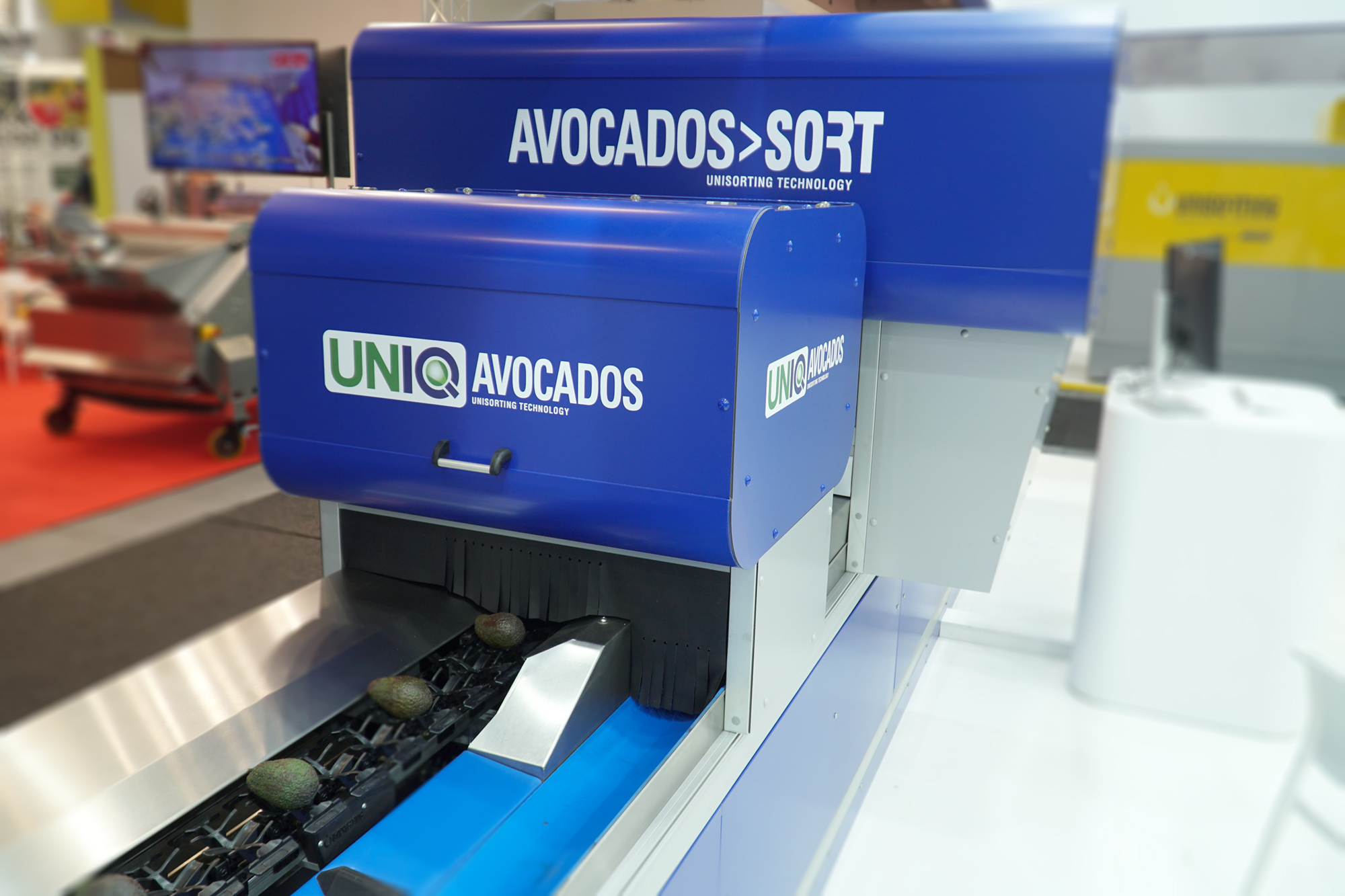 Unitec_Avocados Sort_UNIQ Avocados.jpg